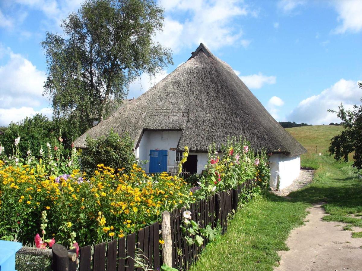 Ferienhaus Zum Boddenstrand Mit Ka Groß Zicker Buitenkant foto